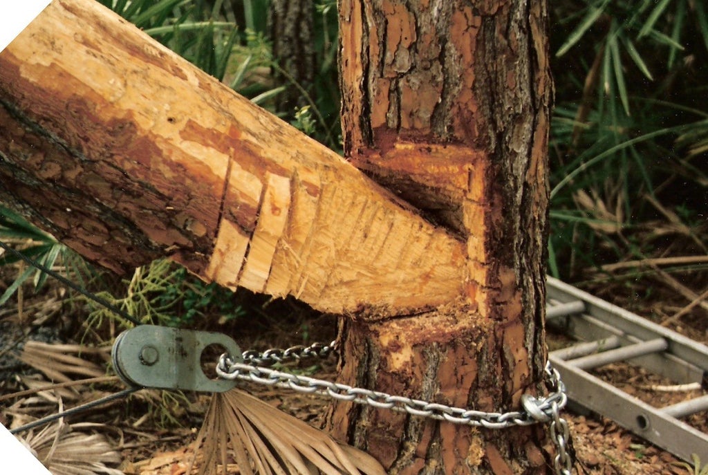 The Amazing Gin Pole Lifter! 10 Steps (with Pictures) Instructables