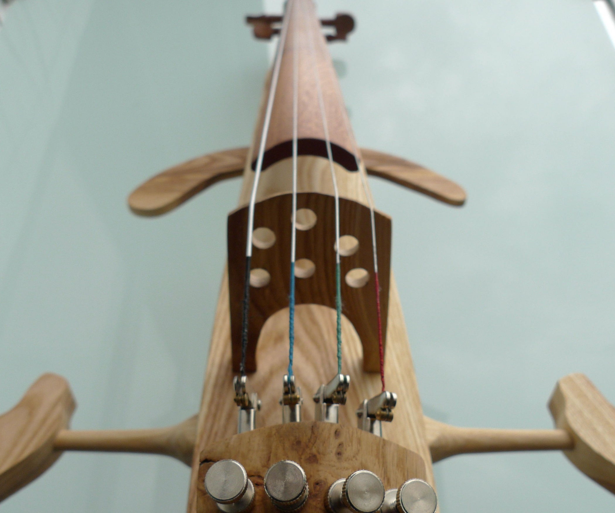 hollow-bodied-practice-electric-cello-15-steps-with-pictures