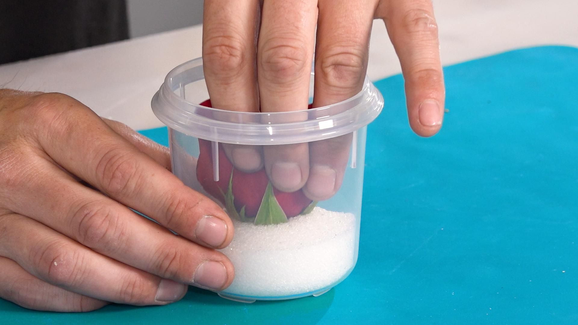 How to Cast Flowers in Epoxy Resin DIY Resin Rose Paperweight! 8