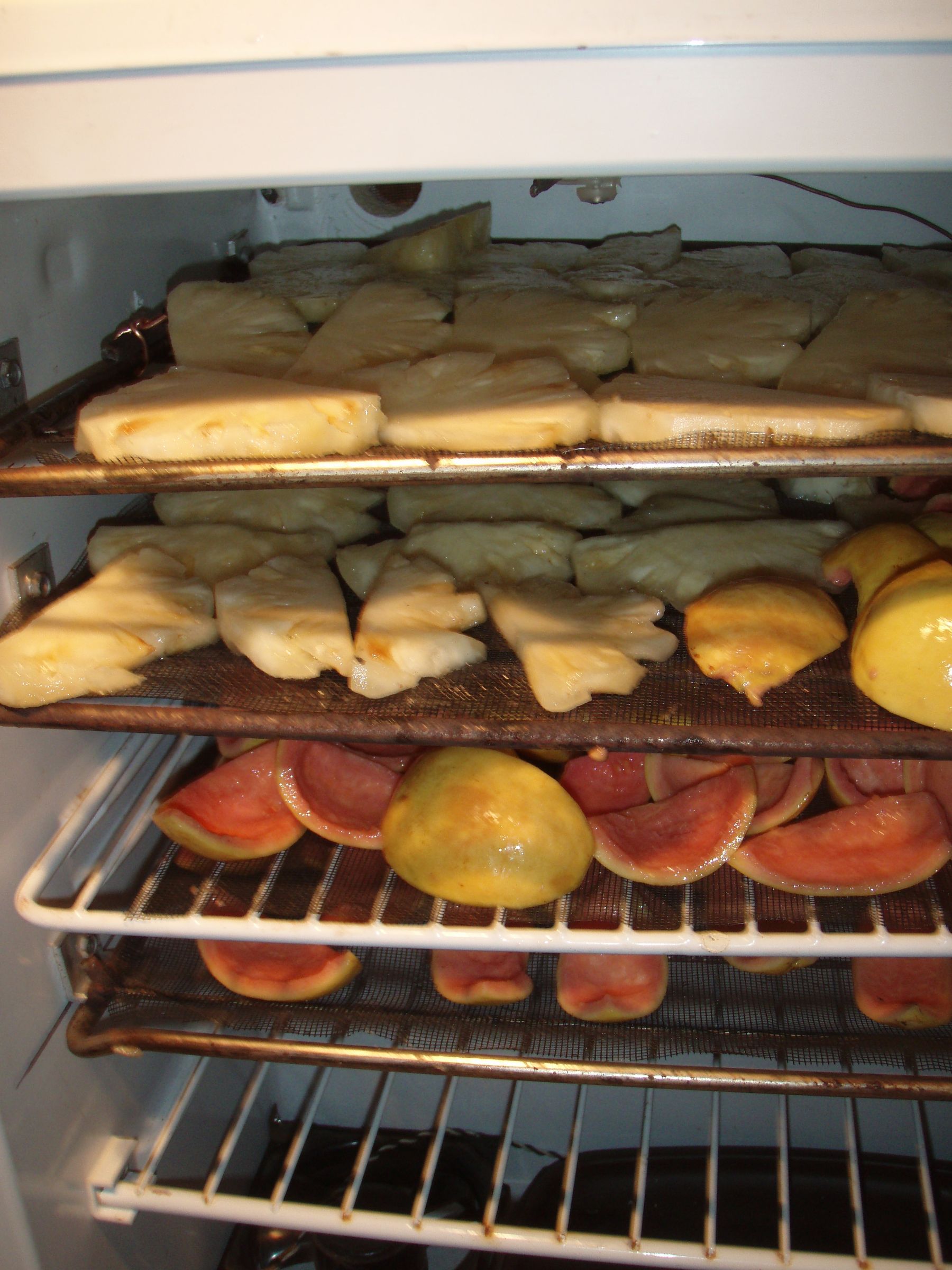 Make a Dehydrator From a Dorm Fridge 5 Steps (with Pictures