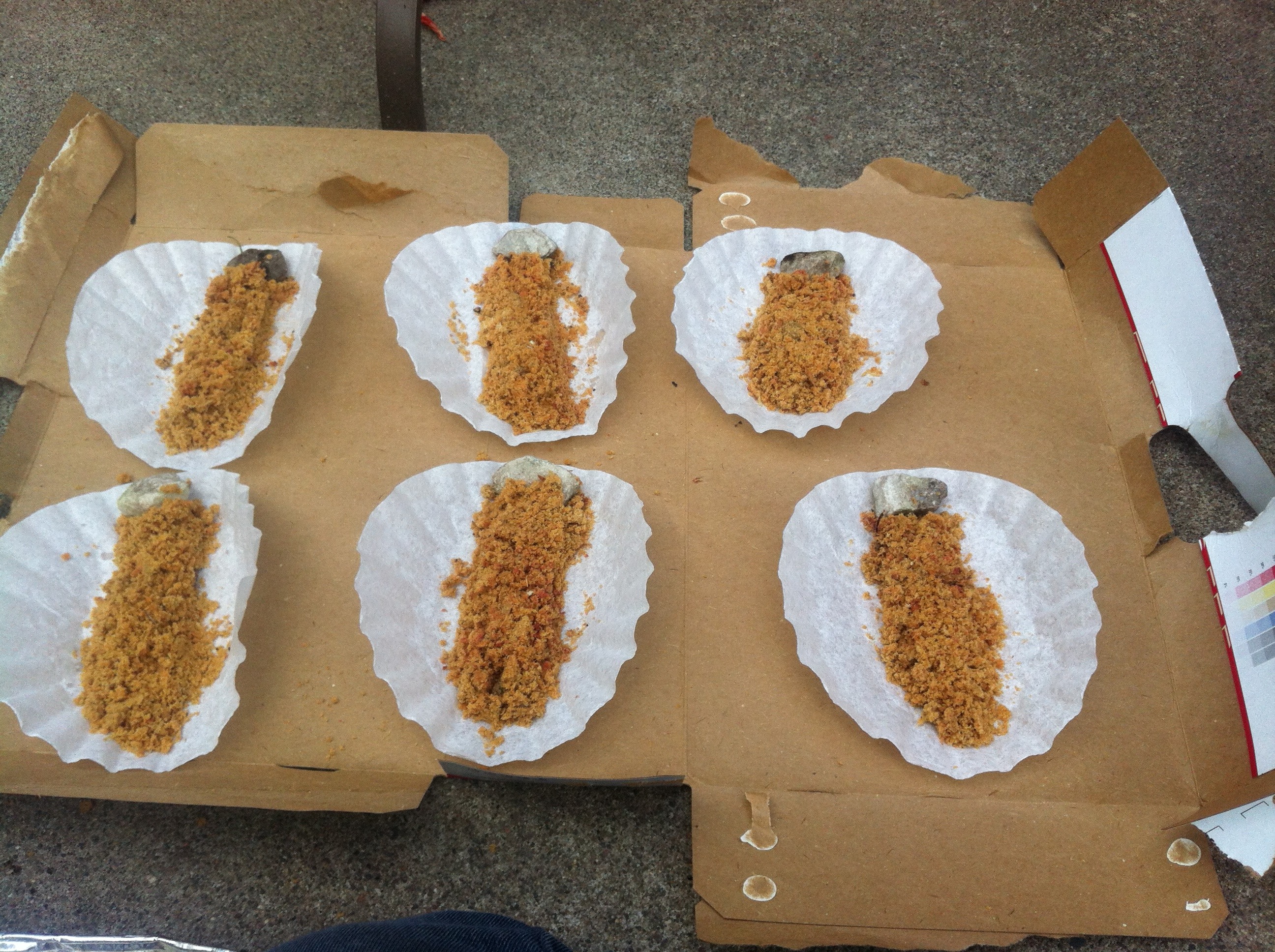 Sawdust Fire Starters Instructables