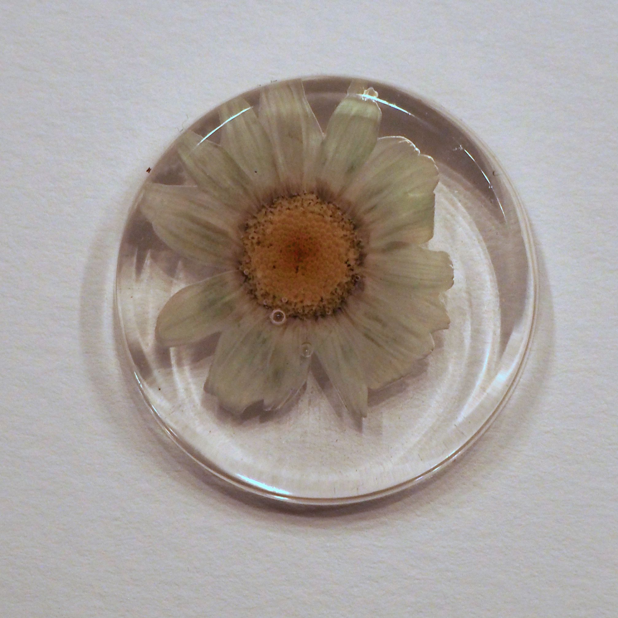 Techniques To Embed Flowers In Resin 12 Steps With Pictures Instructables