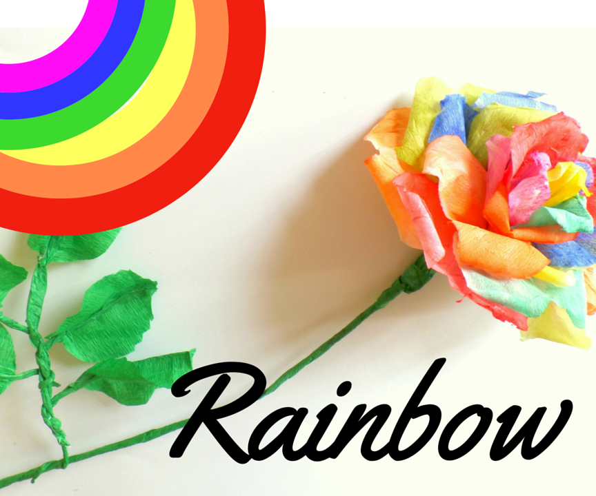 DIY Rainbow Rose Instructables
