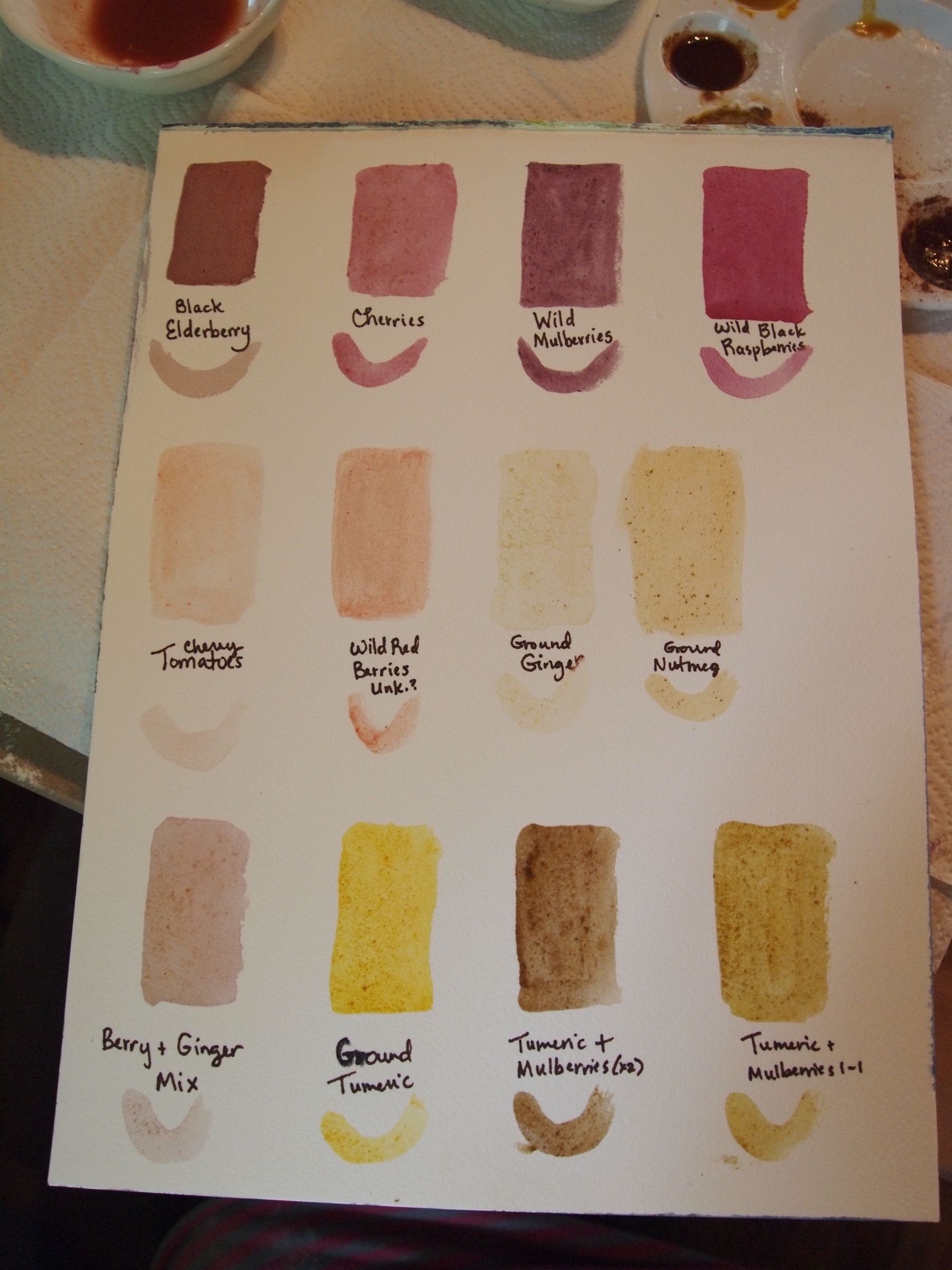 Paint Made From Berries & Nature 4 Steps (with Pictures) Instructables