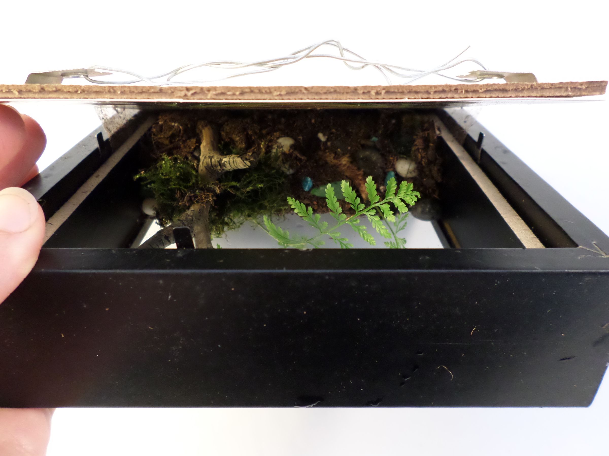 Picture Frame Terrarium 13 Steps (with Pictures) Instructables