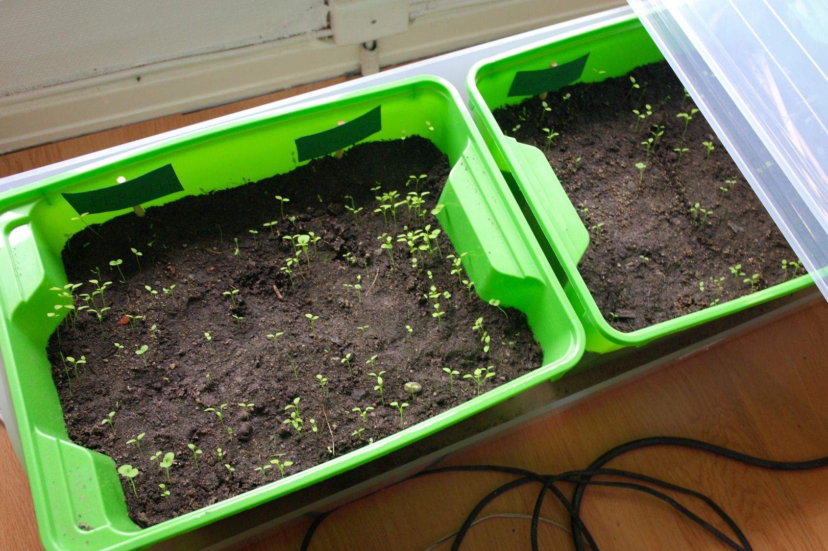 Indoor Herb Garden With Automatic Watering 8 Steps (with Pictures