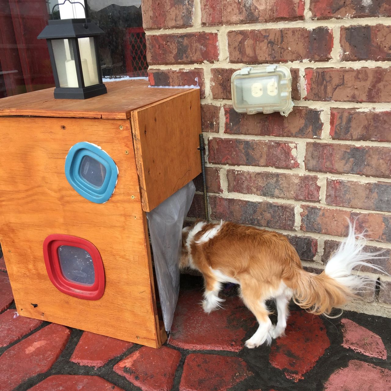 dog door through brick
