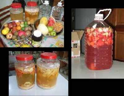 Step-by-step guide for garbage enzyme - multipurpose uses &amp; safer and cleaner alternative DIY Project DIY project