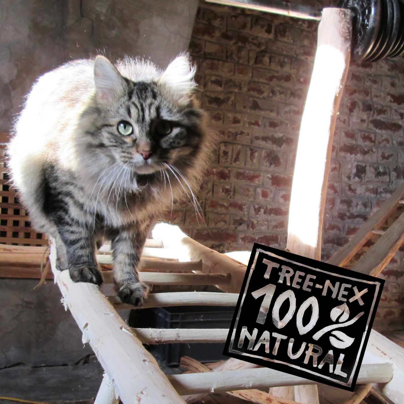 'tree-nex' - woodworking with natural forms (updated) DIY Project DIY Project Image