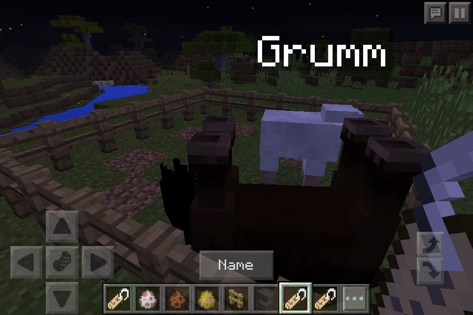 Minecraft Nametag Secrets 4 Steps Instructables Minecraft Nametag Secrets 4 Steps Instructables
