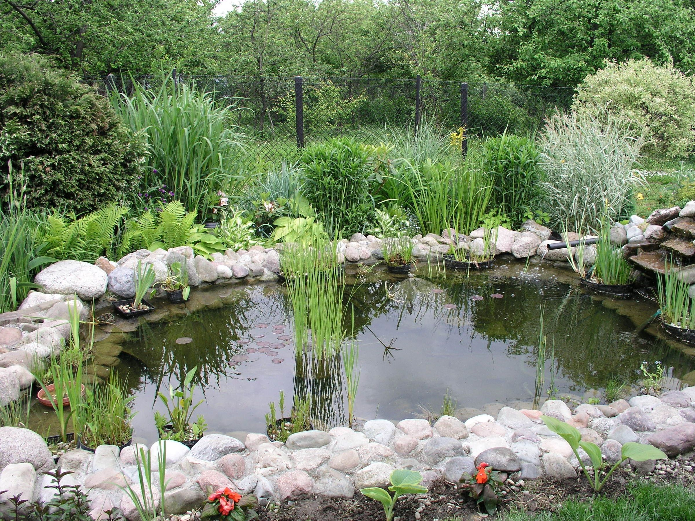 How to Build a Garden Pond 5 Steps Instructables