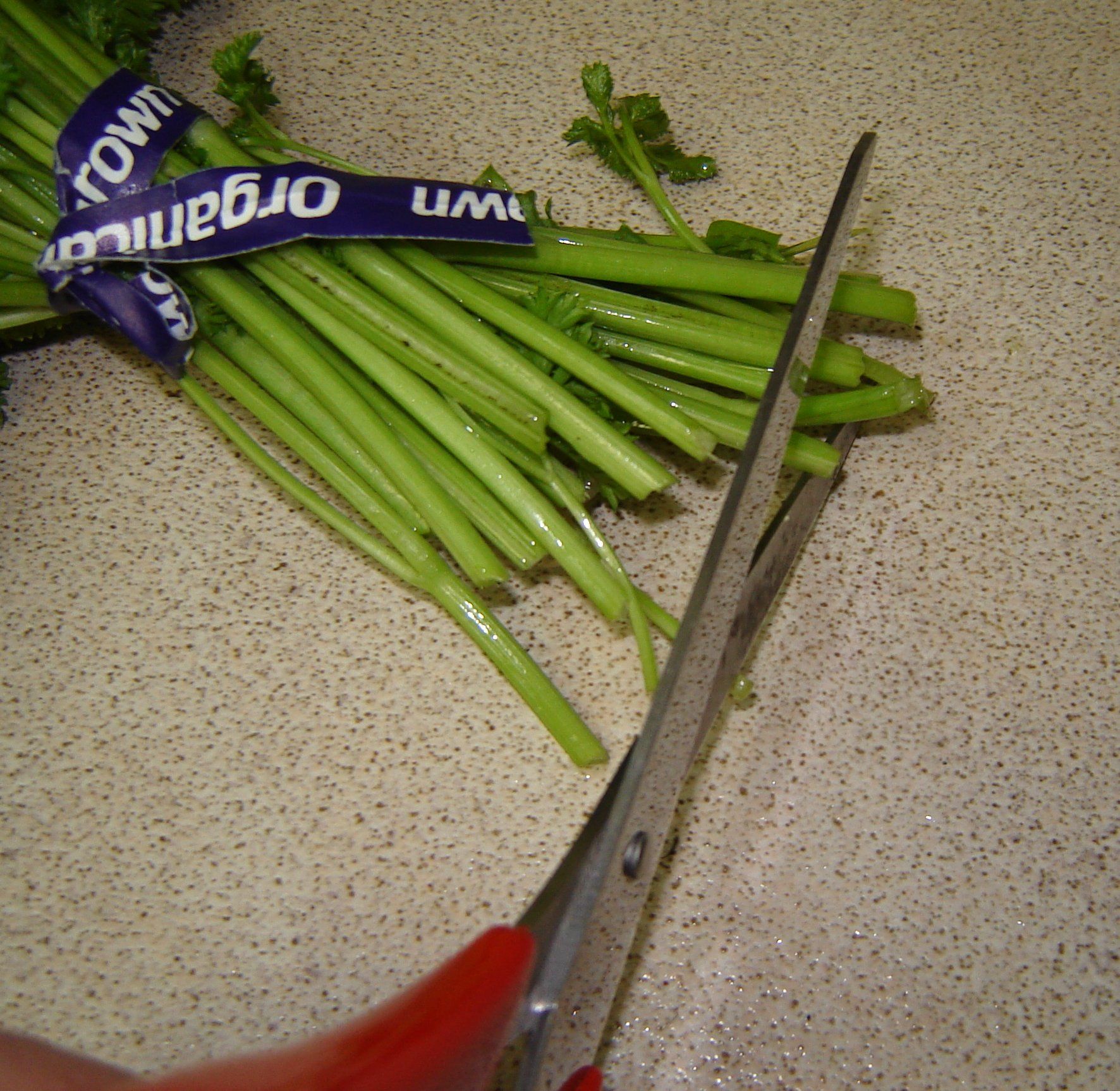 How to Keep Fresh Herbs Fresh 4 Steps (with Pictures) Instructables