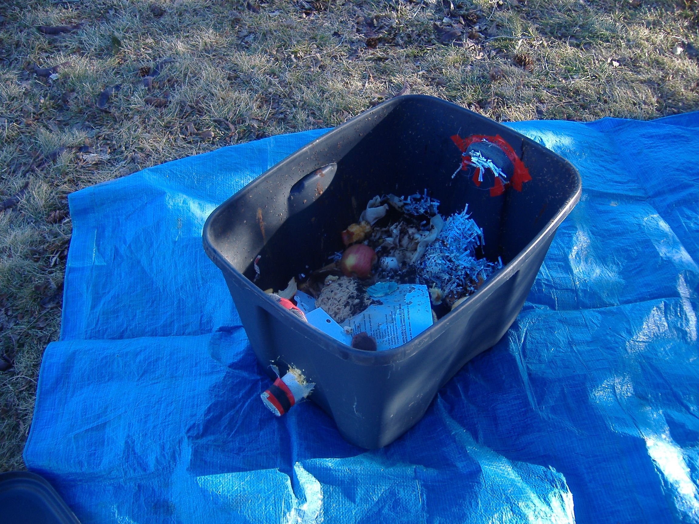 Caring for Your Worm Bin 6 Steps Instructables