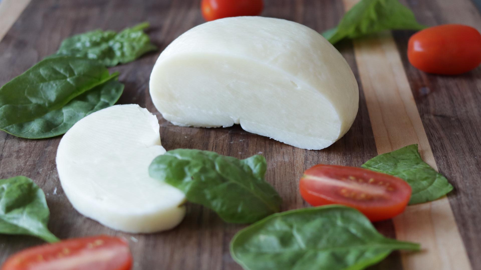 Homemade Mozzarella Cheese From Milk Powder : 12 Steps (with Pictures ...