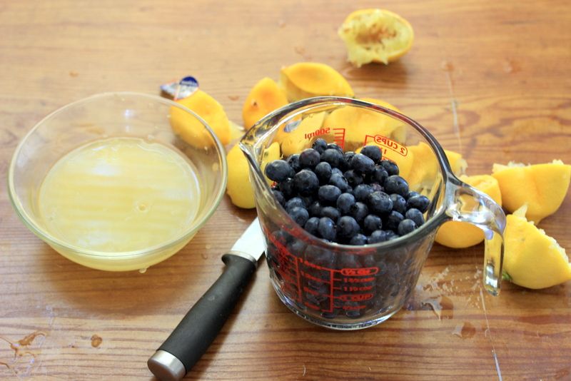 Blueberry Lemonade Smoothie (with Pictures) Instructables