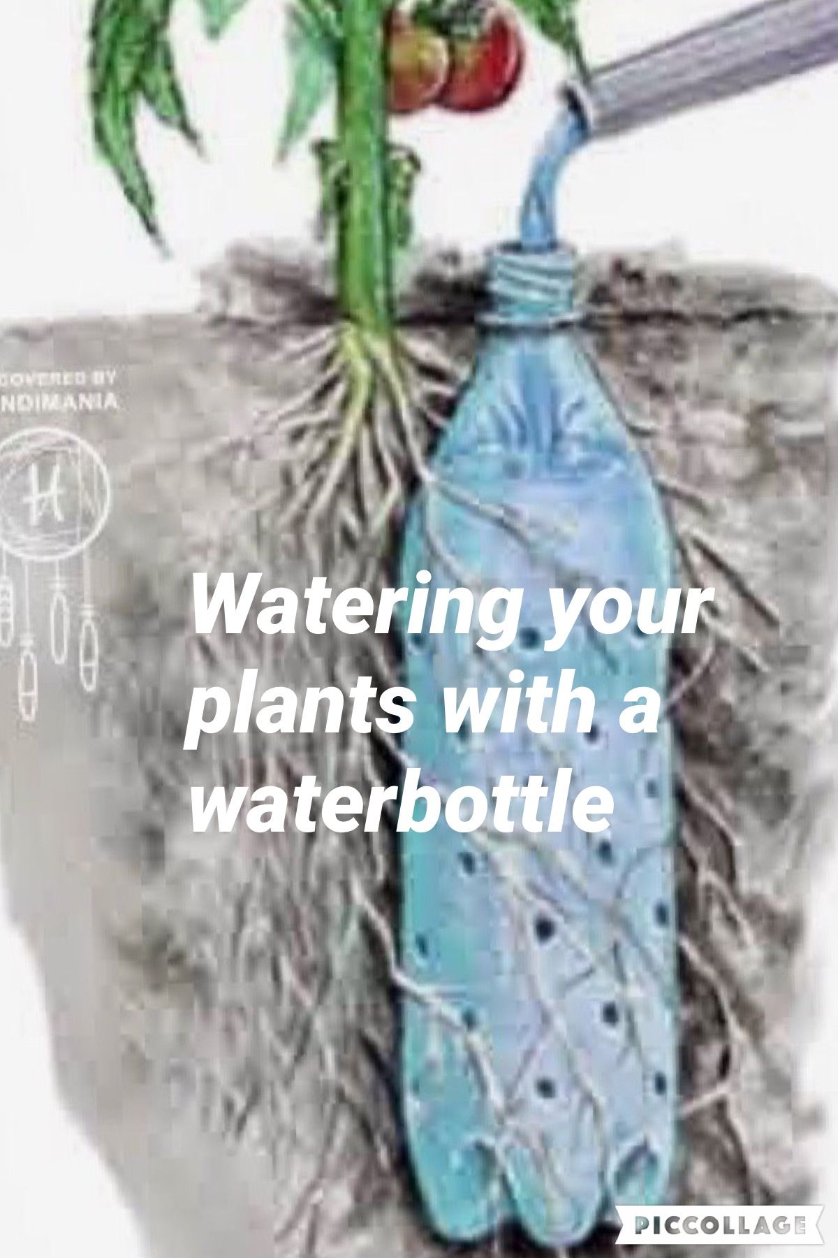 Watering Plants With Waterbottle Hack Instructables