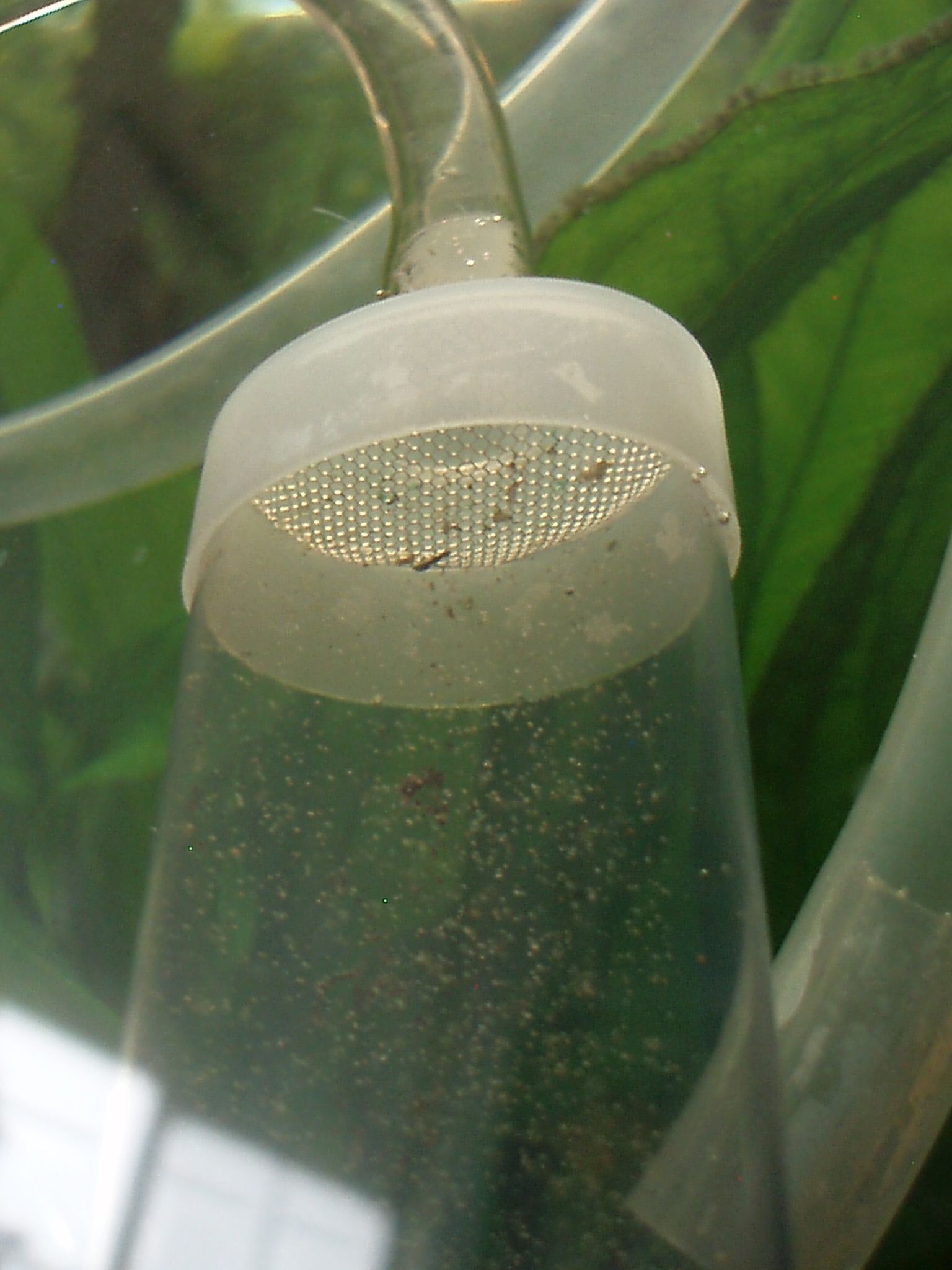 Powered Gravel Vacuum for Aquariums 6 Steps Instructables