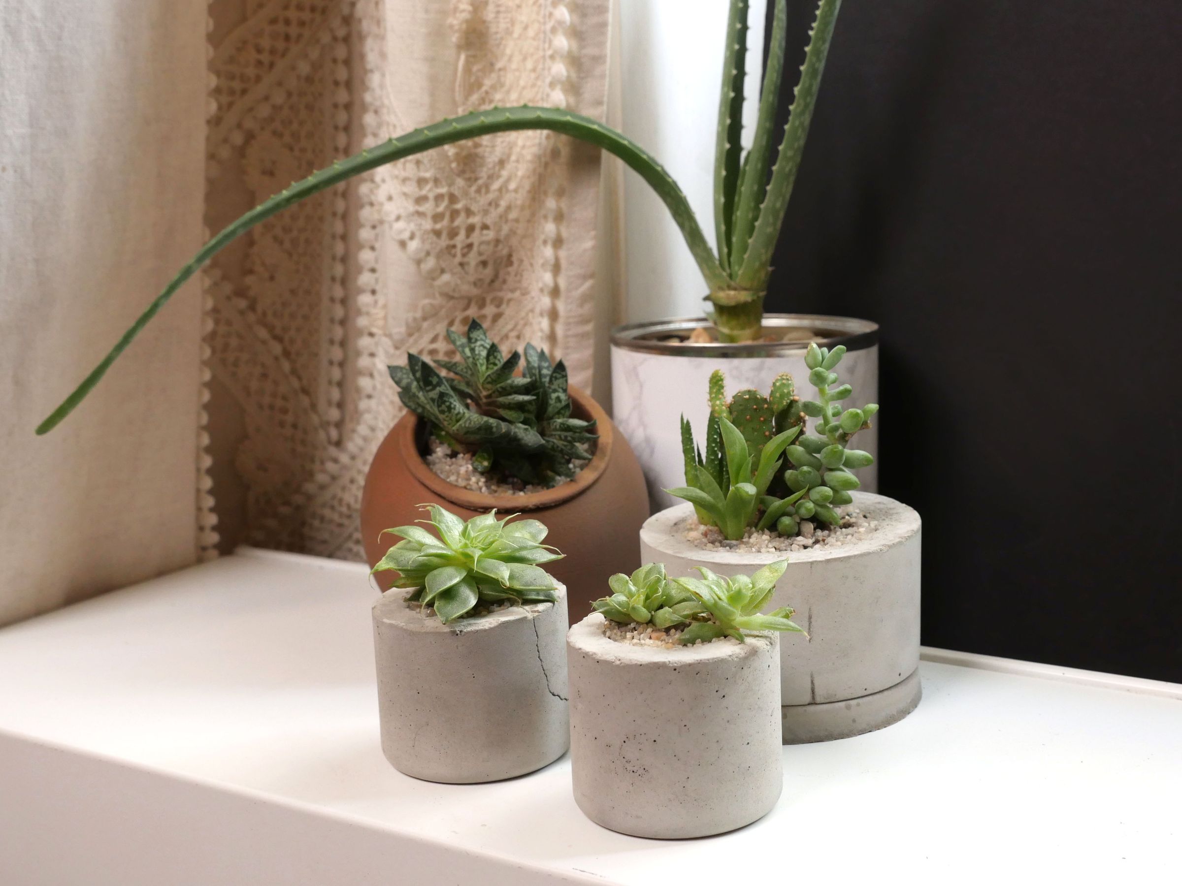 Mini Concrete Planters Using Plastic Bottles 6 Steps (with Pictures