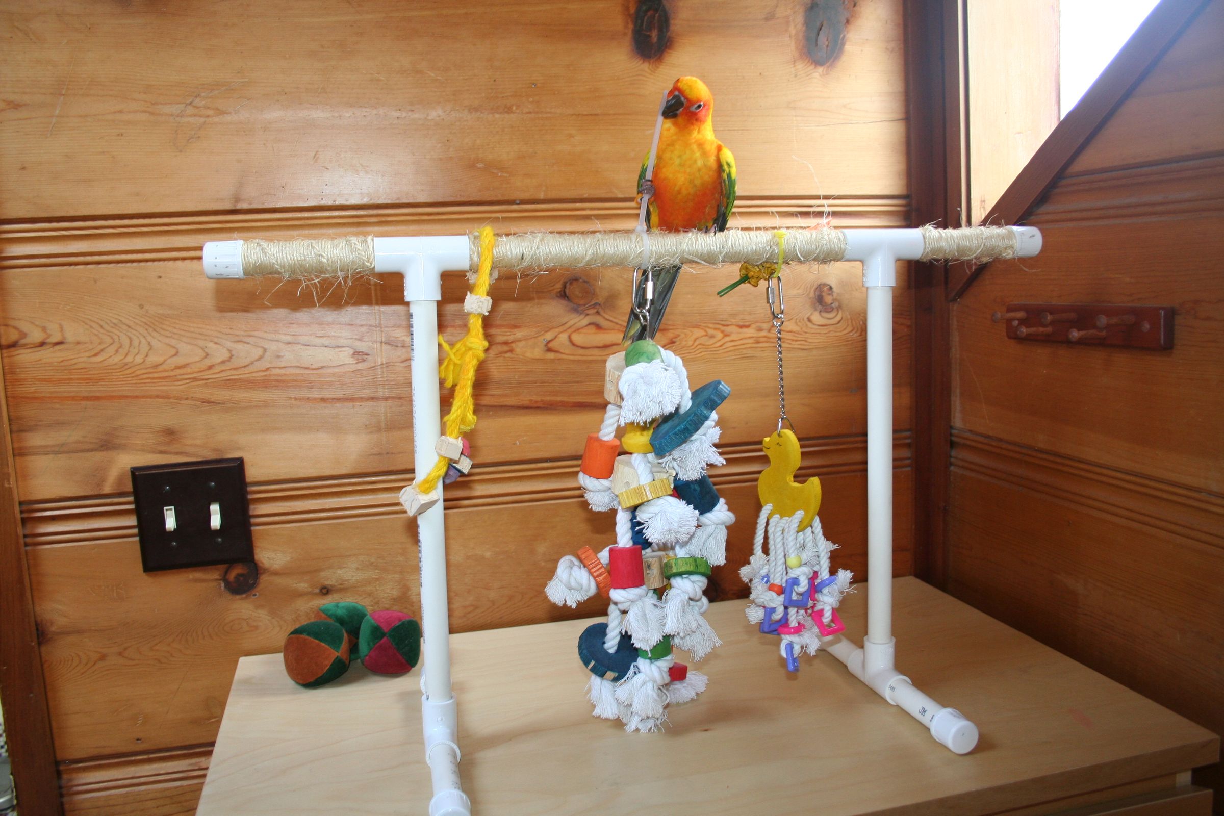 Enrichment for Captive Birds PVC Perch/Play Stand 7 Steps