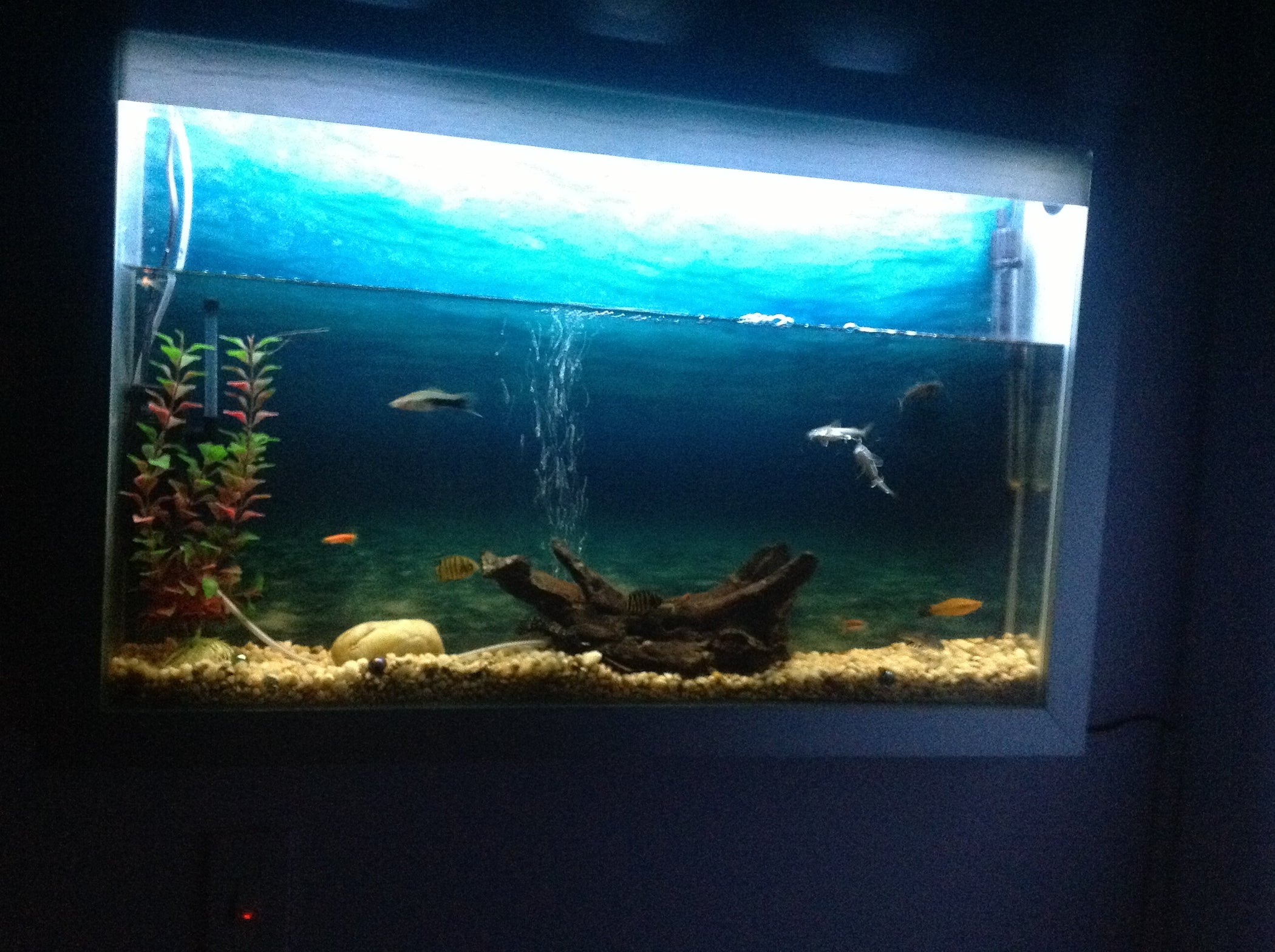Wall Aquarium 5 Steps Instructables
