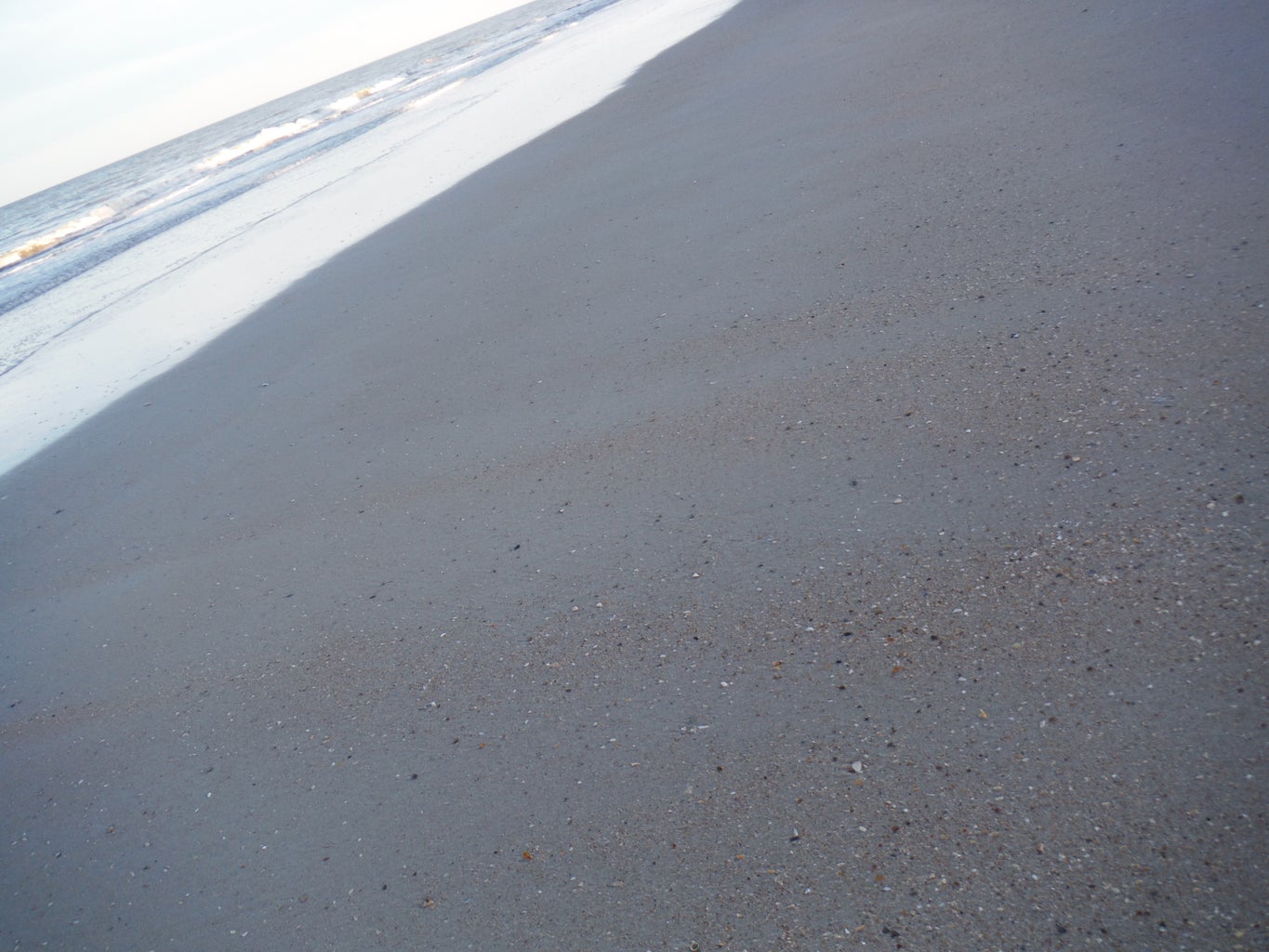 How to Find Shark Teeth : 10 Steps (with Pictures) - Instructables