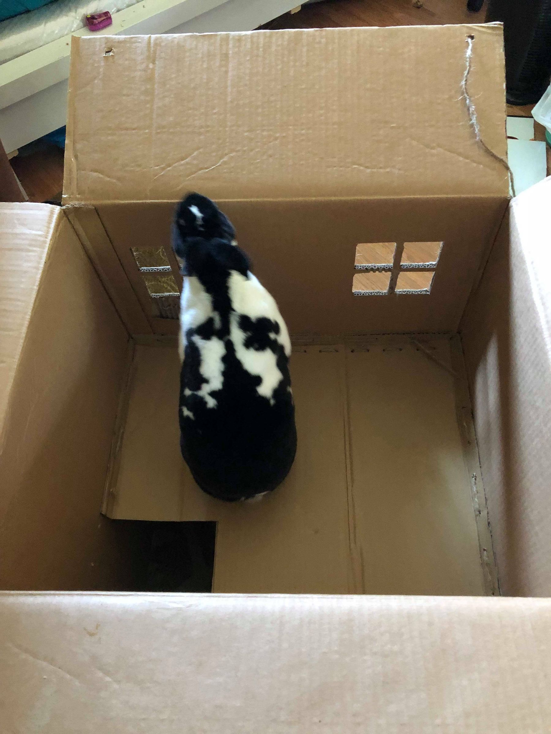 diy rabbit house cardboard