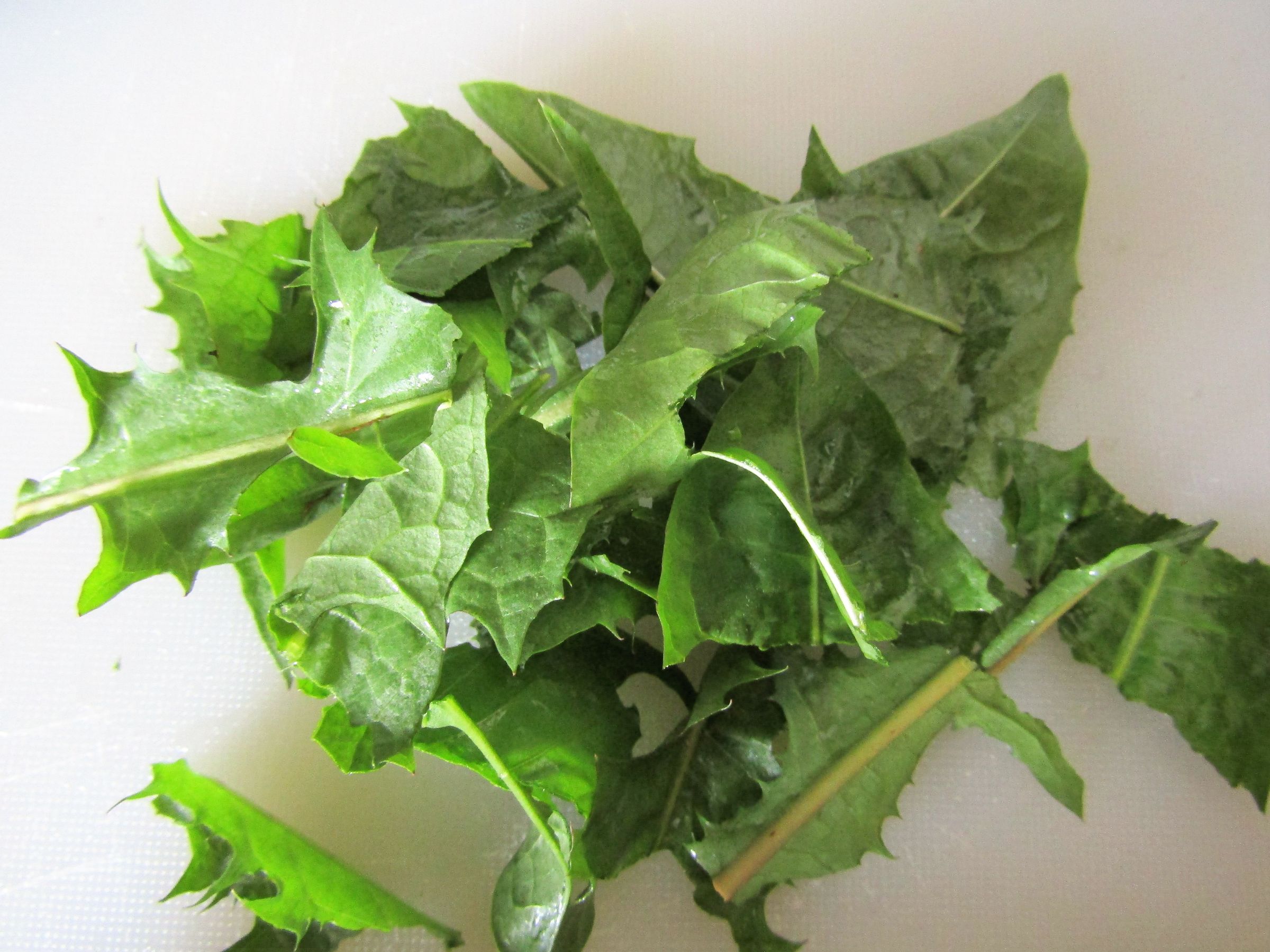 How to Eat a Dandelion 10 Steps (with Pictures) Instructables