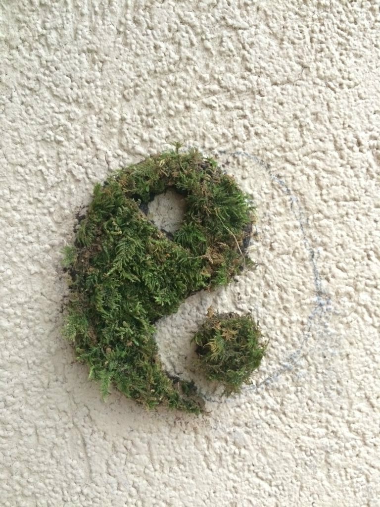 diy living moss wall on How To Make Moss Graffiti 100 Working Method 7 Steps With Pictures Instructables