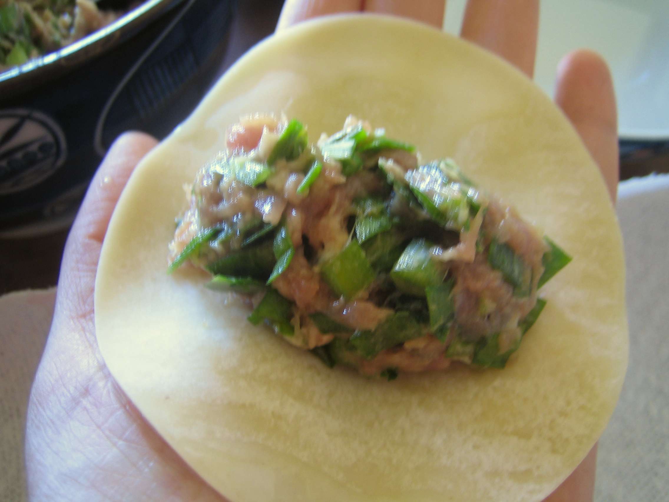 How to Make Potstickers From Scratch! 6 Steps (with Pictures