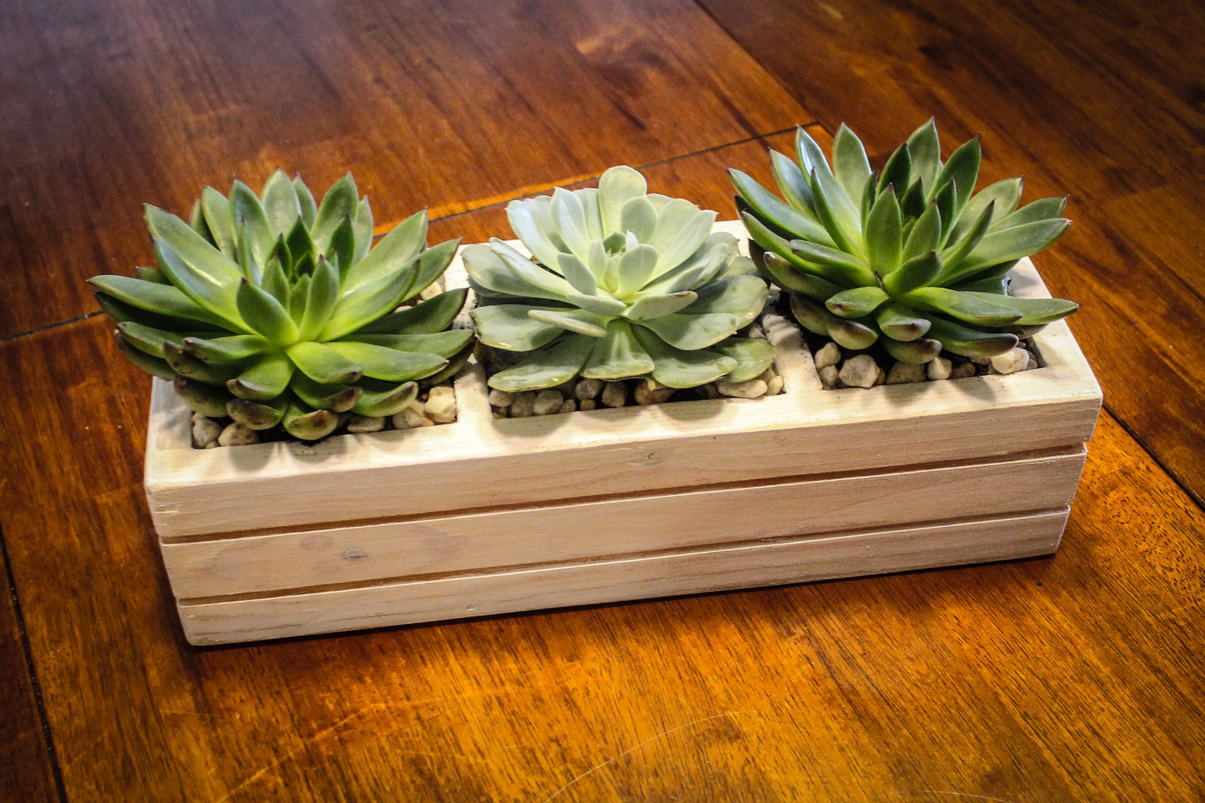 Succulent Planter From Pallets 15 Steps (with Pictures) Instructables