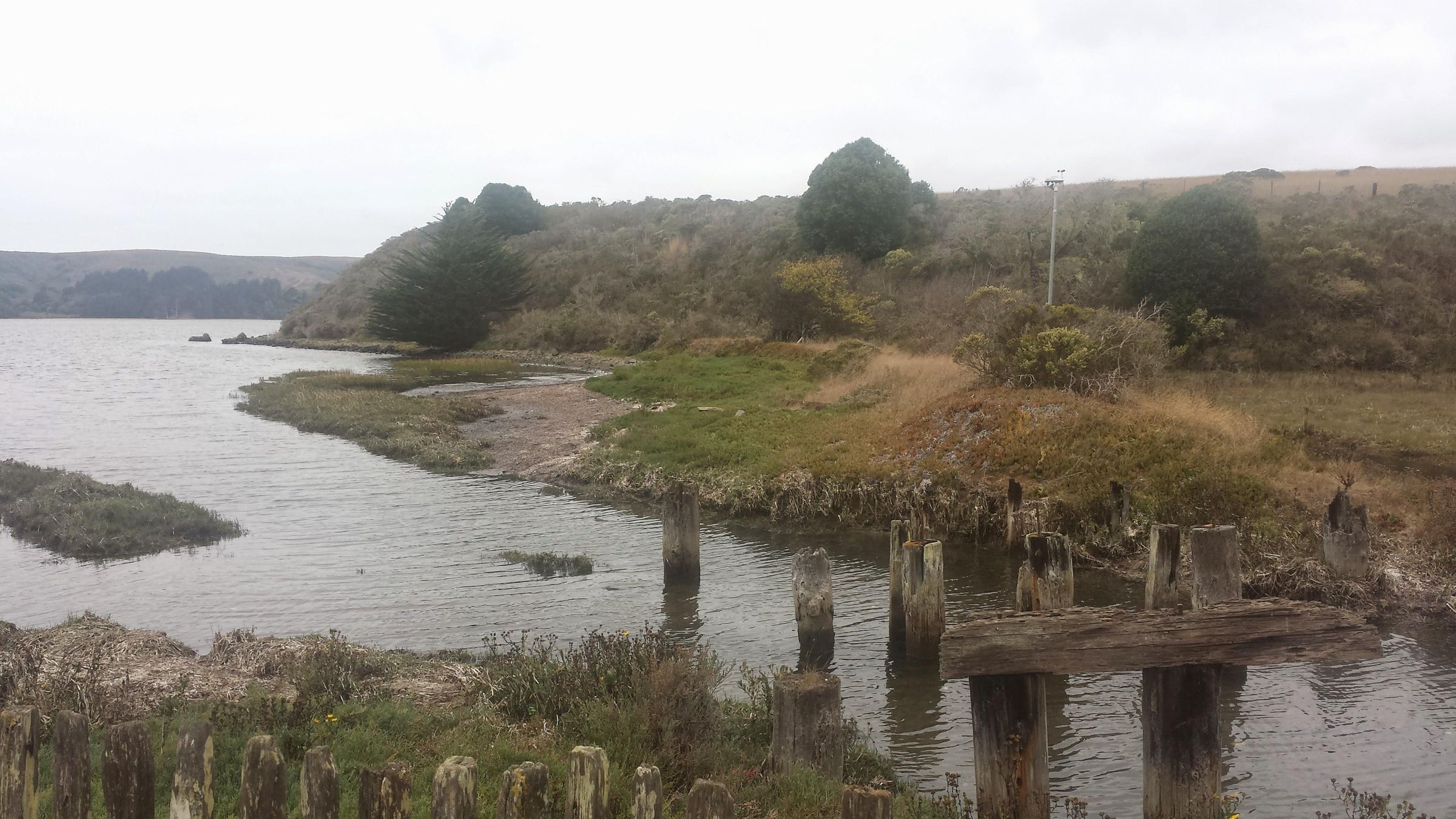 Hog Island Oyster Co. Grilled Oysters (with Pictures) Instructables