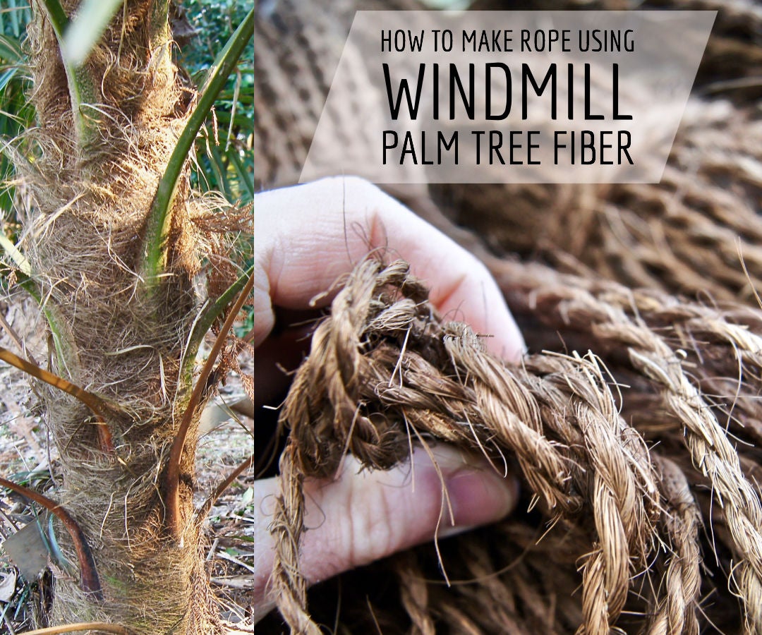 How to Make Rope Using Windmill Palm Tree Fiber! 6 Steps (with