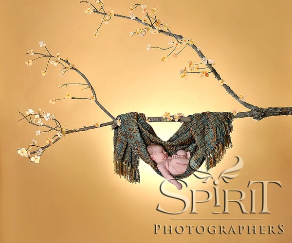 Photographers Photoshop Trick