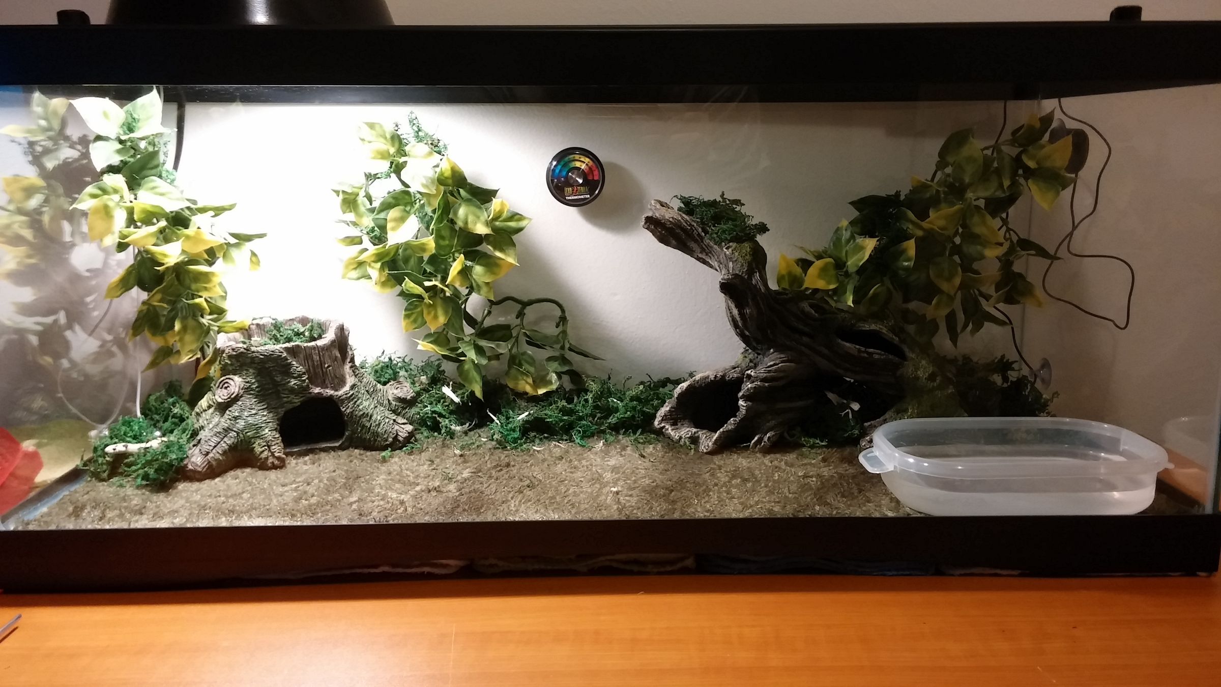 complete snake setup