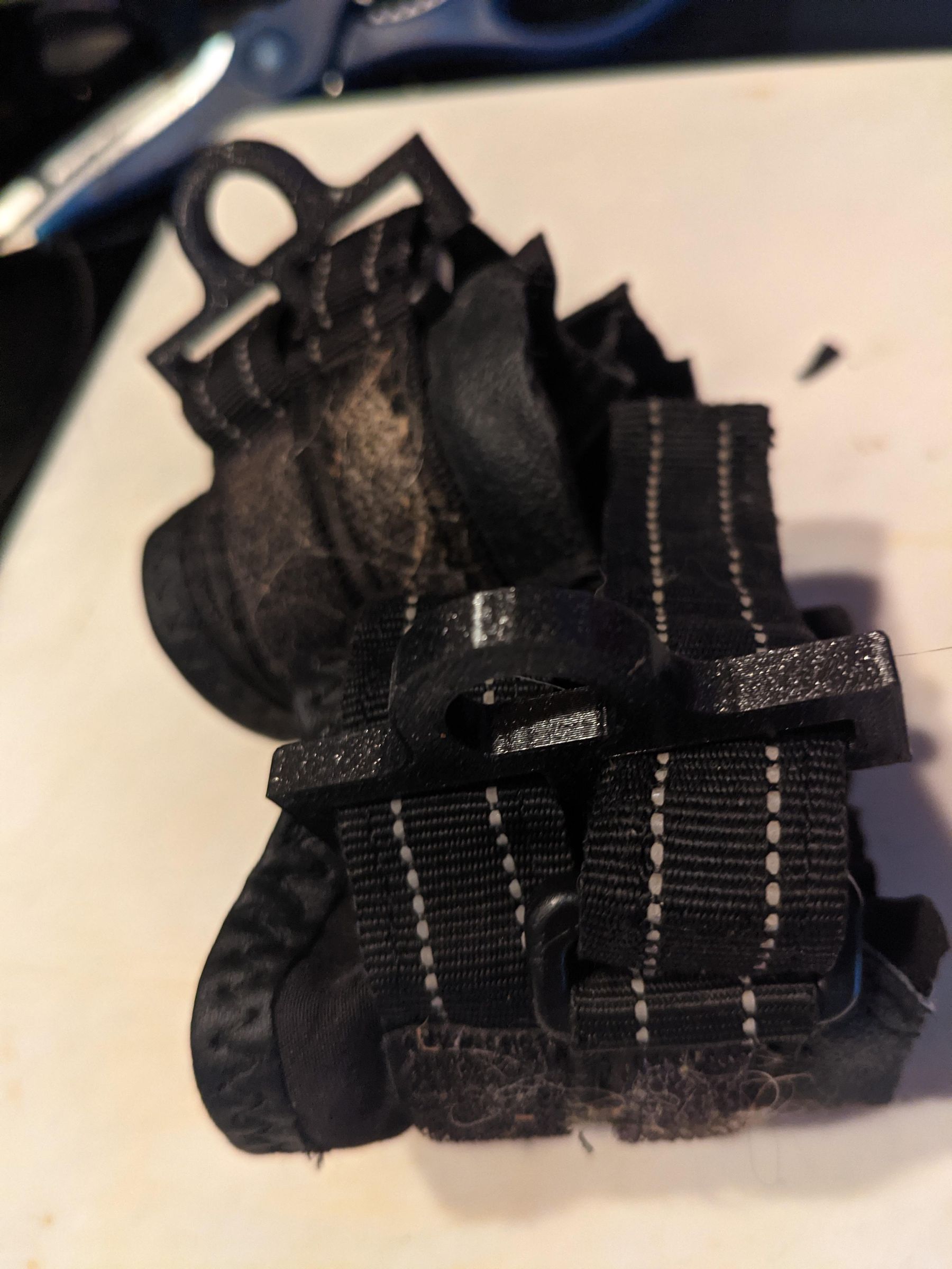 AntiKnucking Shoes for Dogs With Degenerative Myelopathy 7 Steps