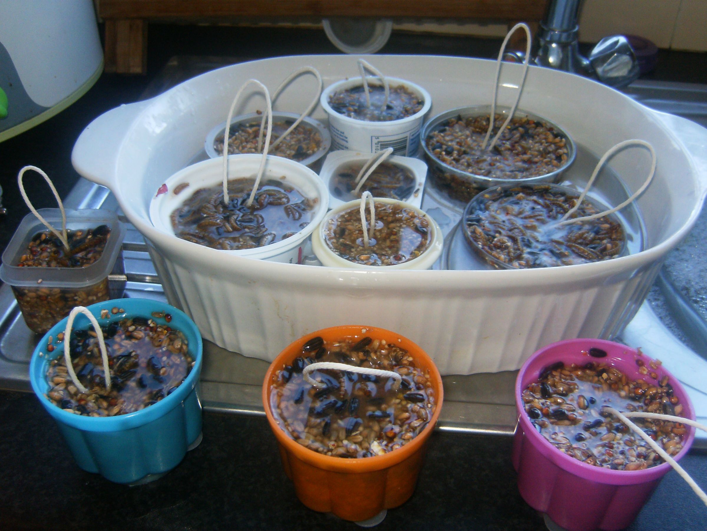 How To Make Fat Ball Bird Feeders 4 Steps With Pictures Instructables