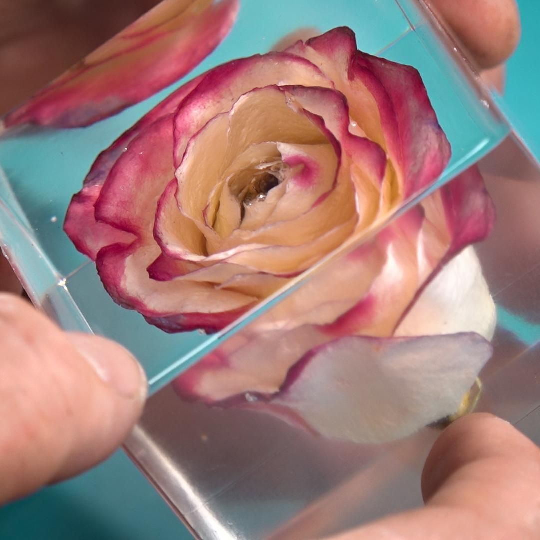 How to Cast Flowers in Epoxy Resin DIY Resin Rose Paperweight! 8
