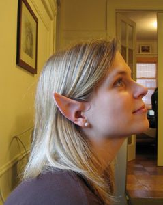 Elf Ears... in 5 Minutes! : 5 Steps (with Pictures) - Instructables