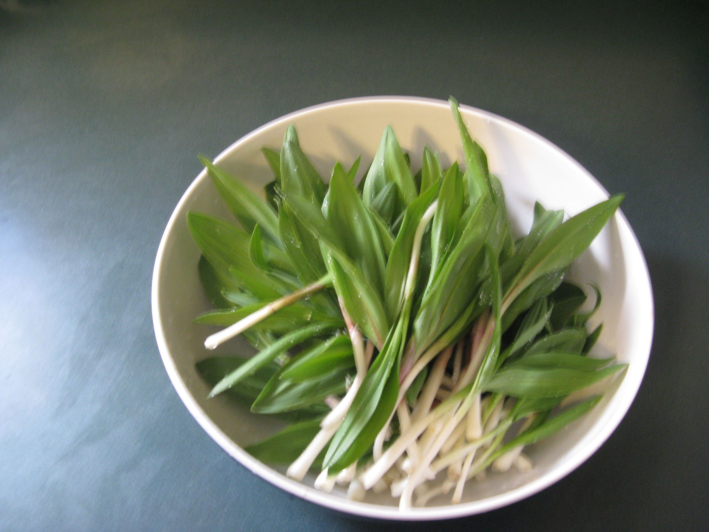 Wild Leeks 6 Steps (with Pictures) Instructables