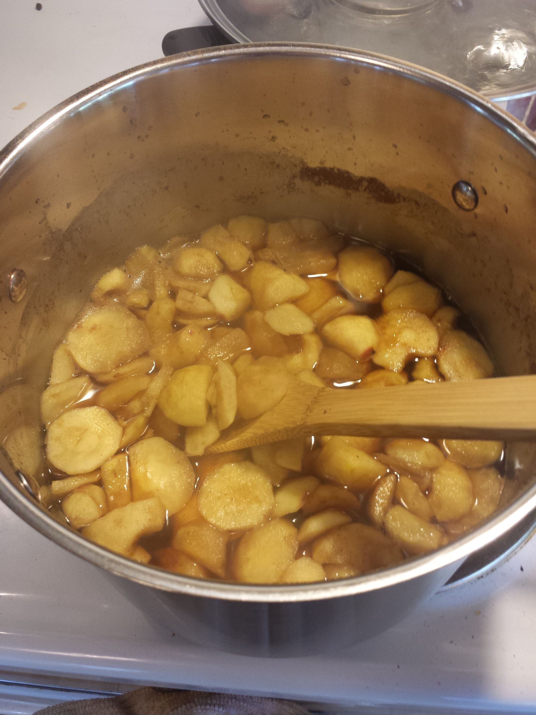 Pressure Canning Apples From Home 23 Steps Instructables