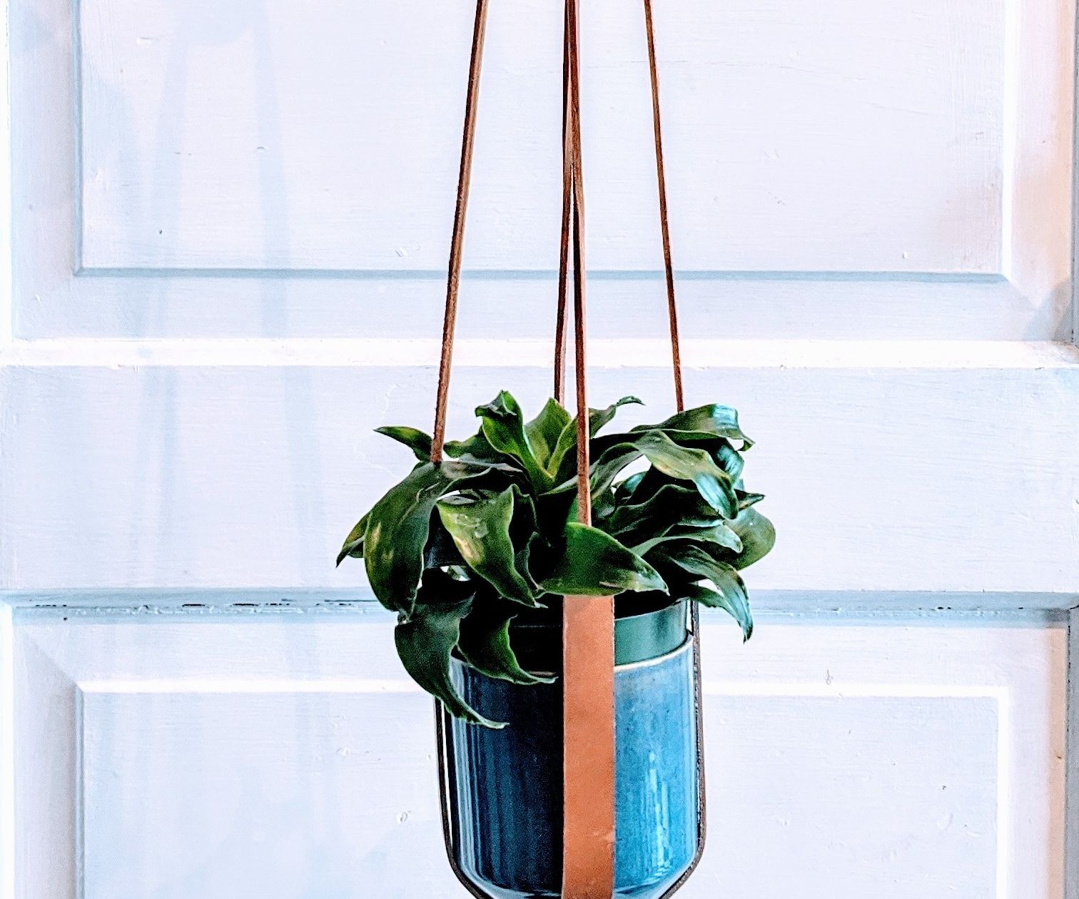 Make Your Own Leather Plant Hanger 4 Steps (with Pictures
