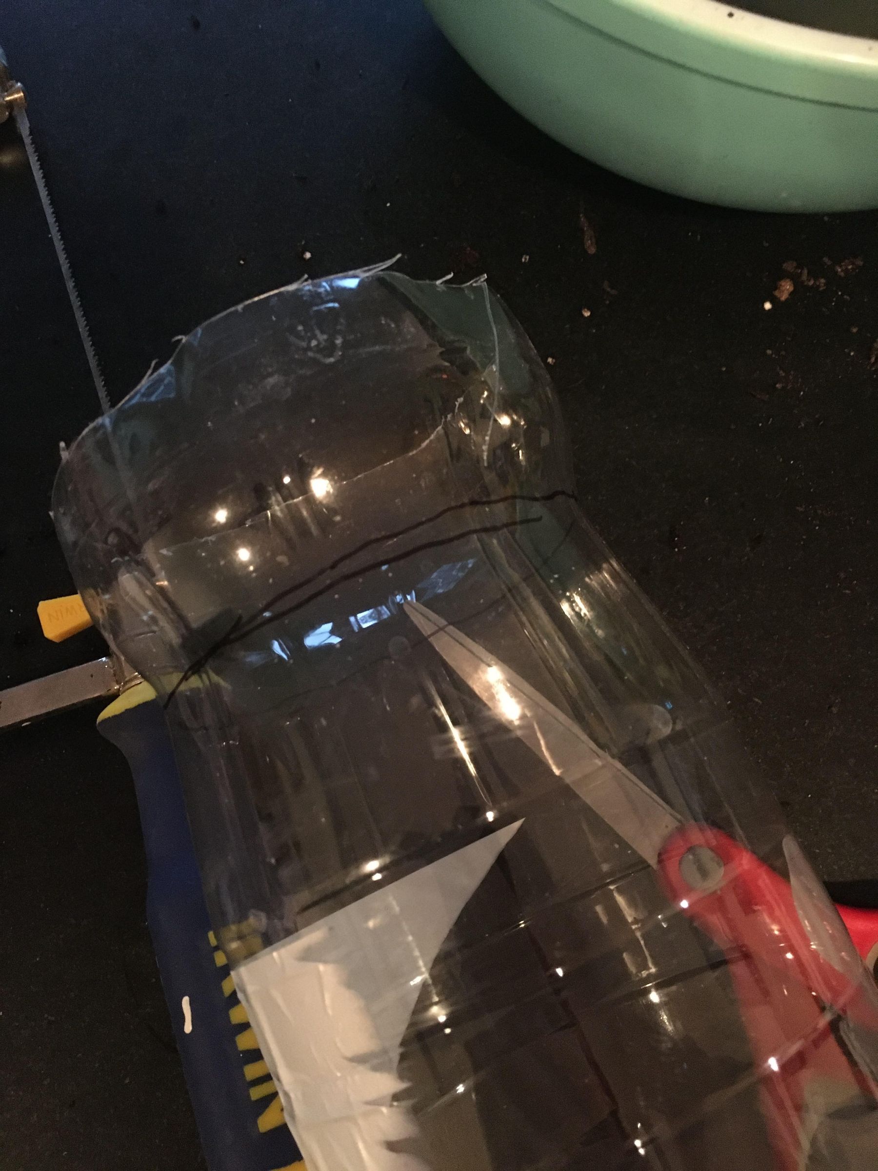 Cut Bottle