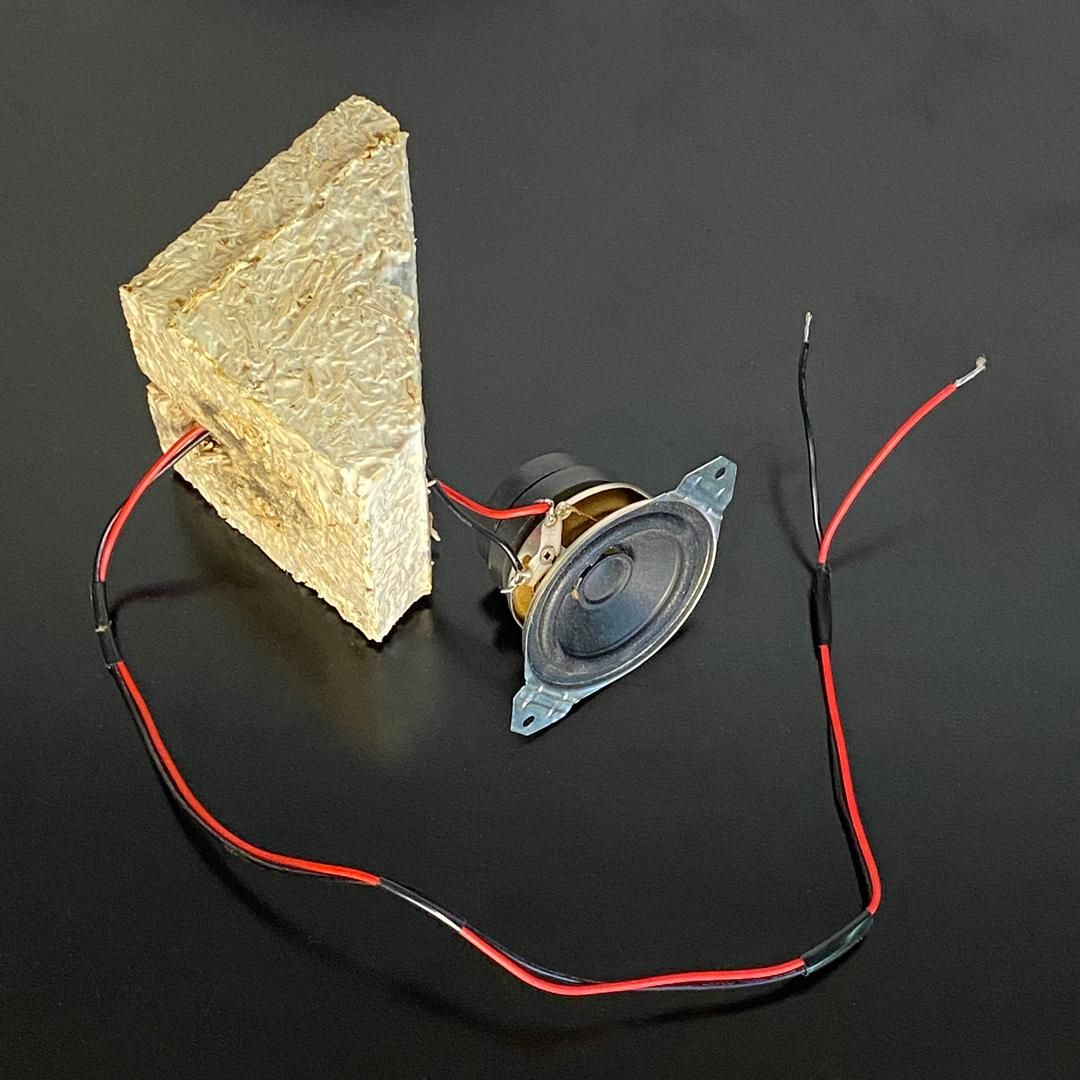 Make Your Own Speakers Out of Mycelium 9 Steps (with Pictures