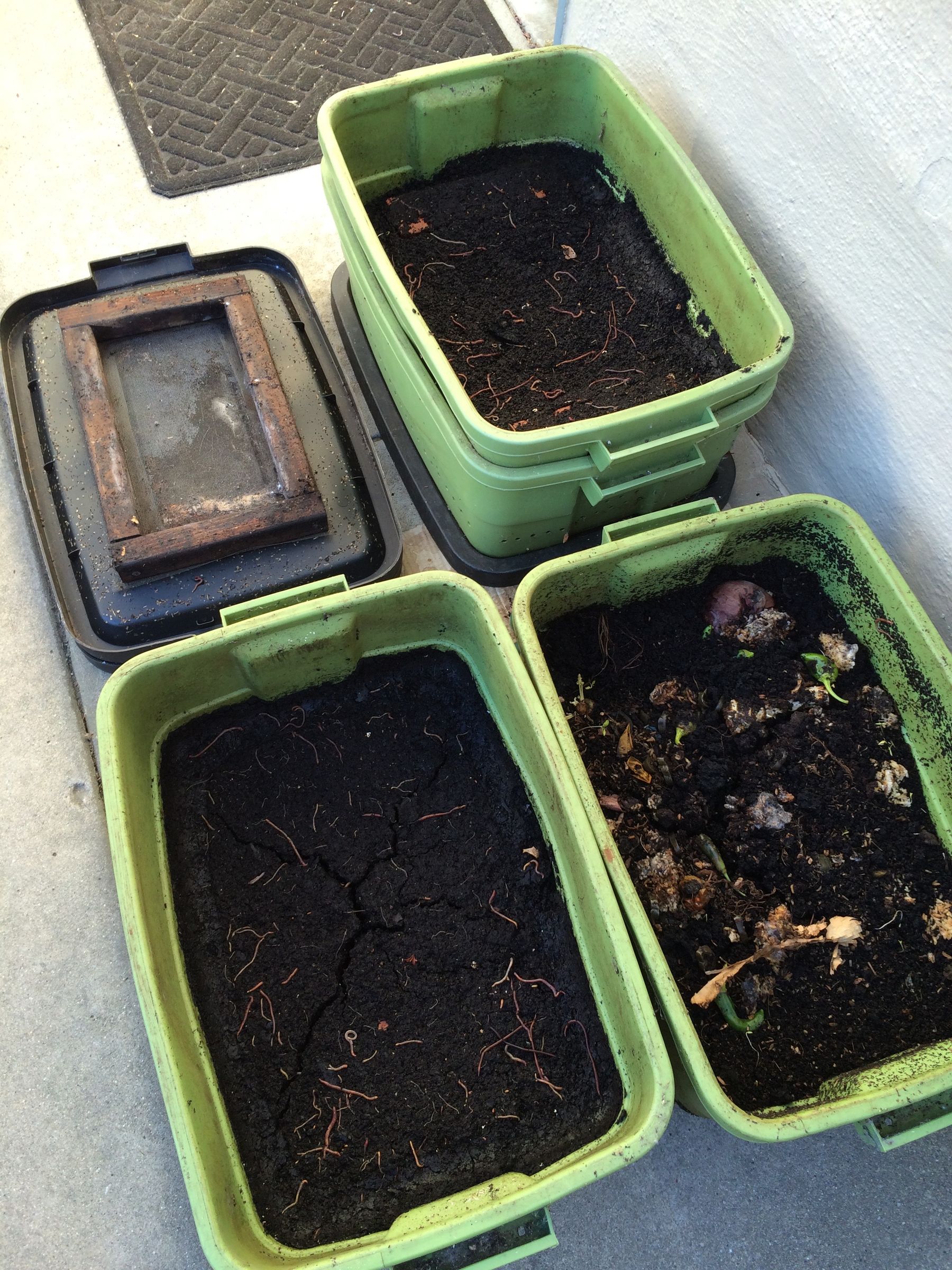 Make Black Gold With Diy Worm Compost Bins 9 Steps With Pictures Instructables