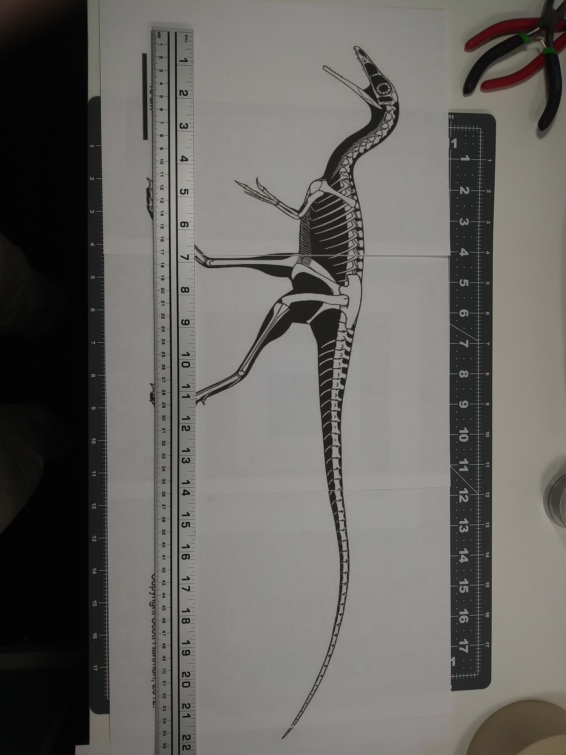 Sculpt a Life-size Dinosaur : 5 Steps (with Pictures) - Instructables