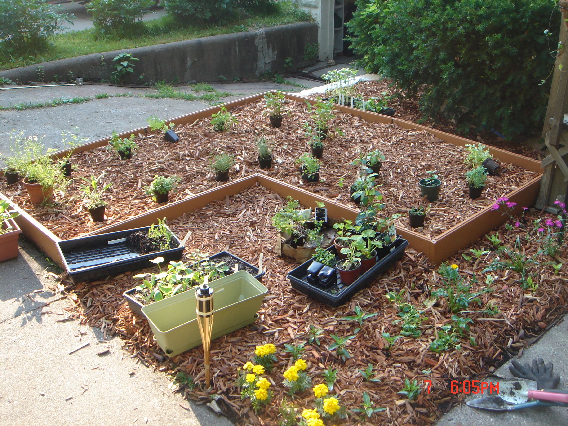 Simple Sheet Mulch Herb Garden 5 Steps Instructables