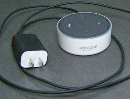 amazon echo muffled sound