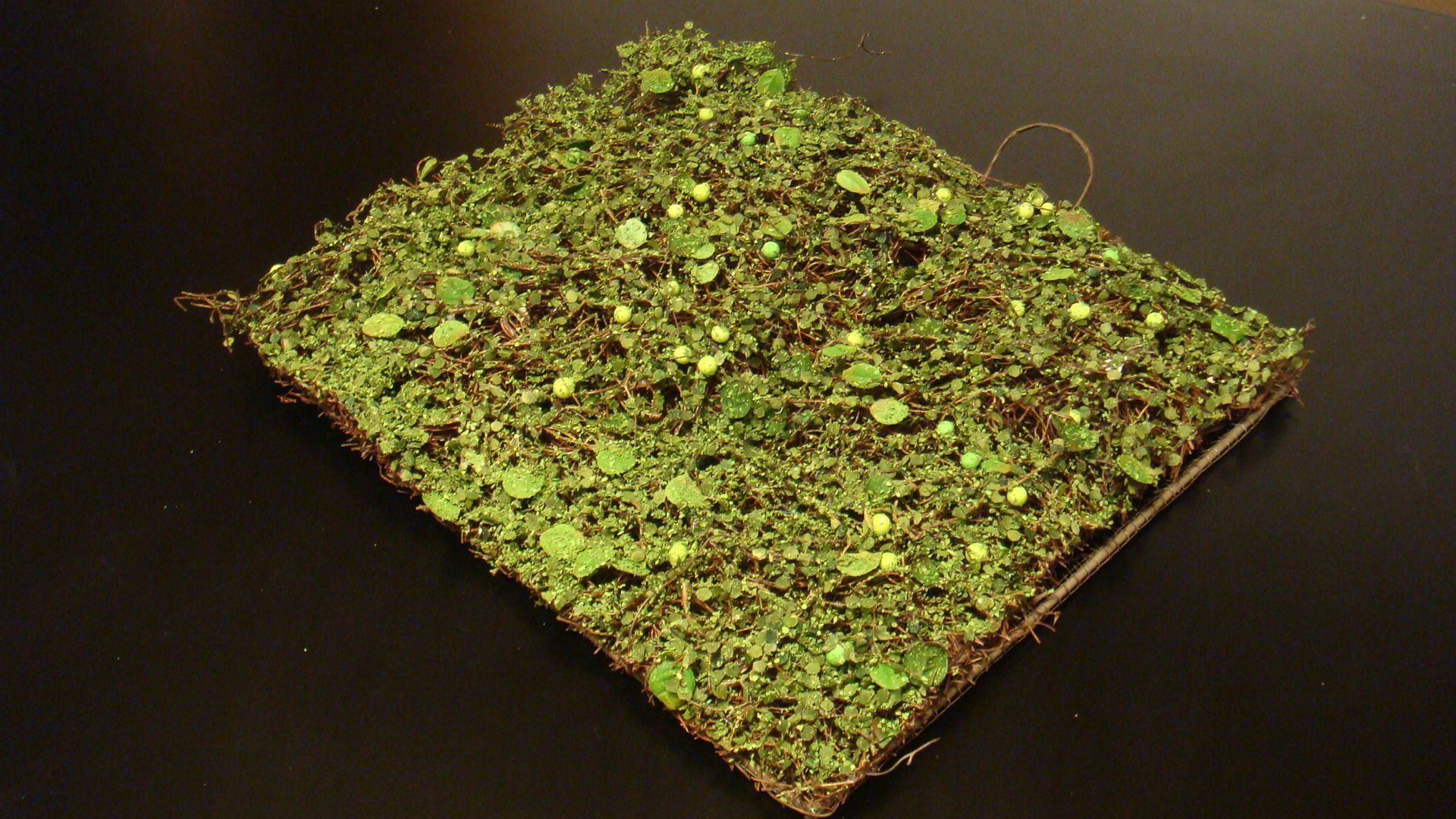 Echo the Chia Pet Dog Costume (with Pictures) Instructables