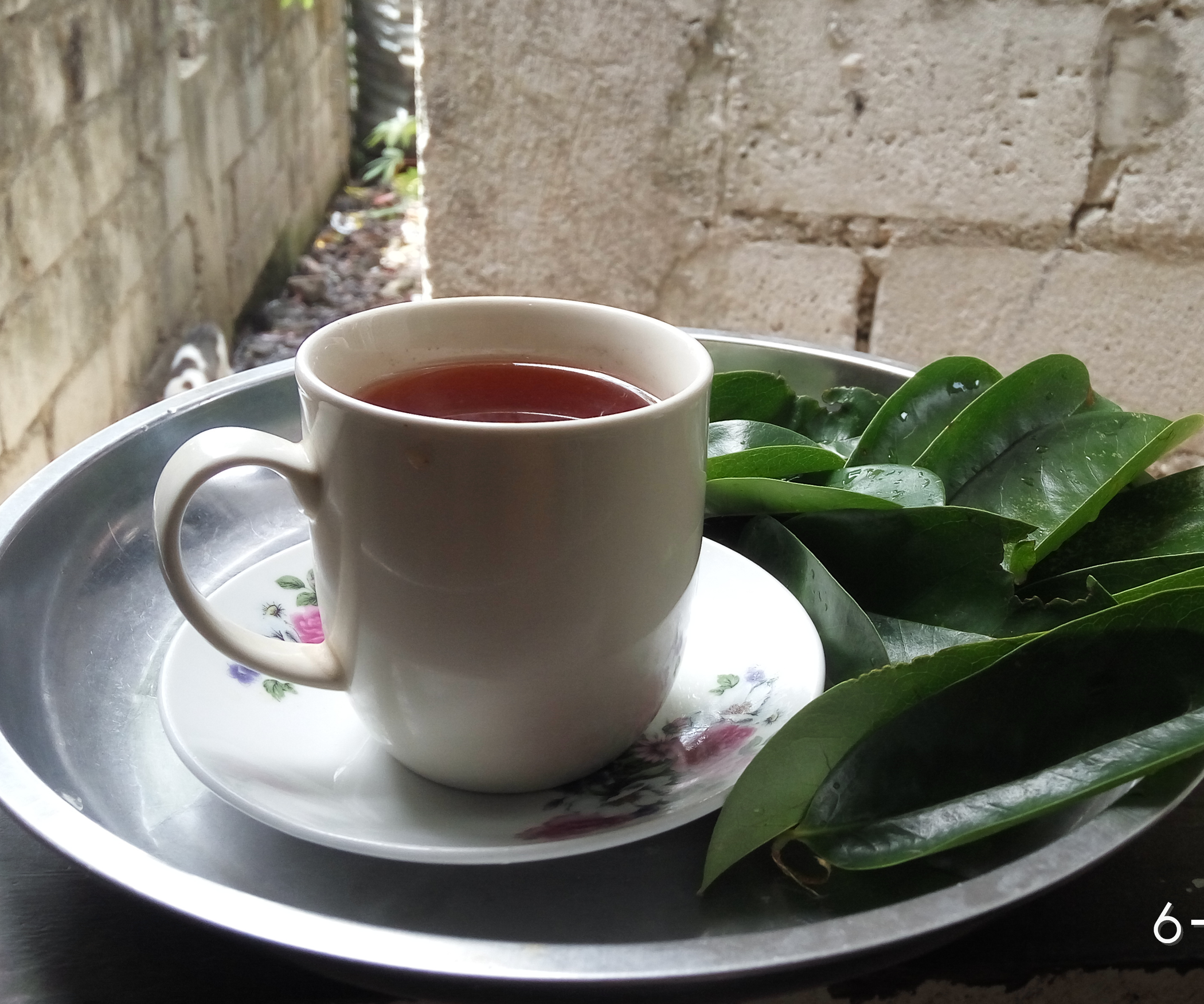 Soursop Leaves Tea!!! Cancer FREEEE!!! 8 Steps Instructables