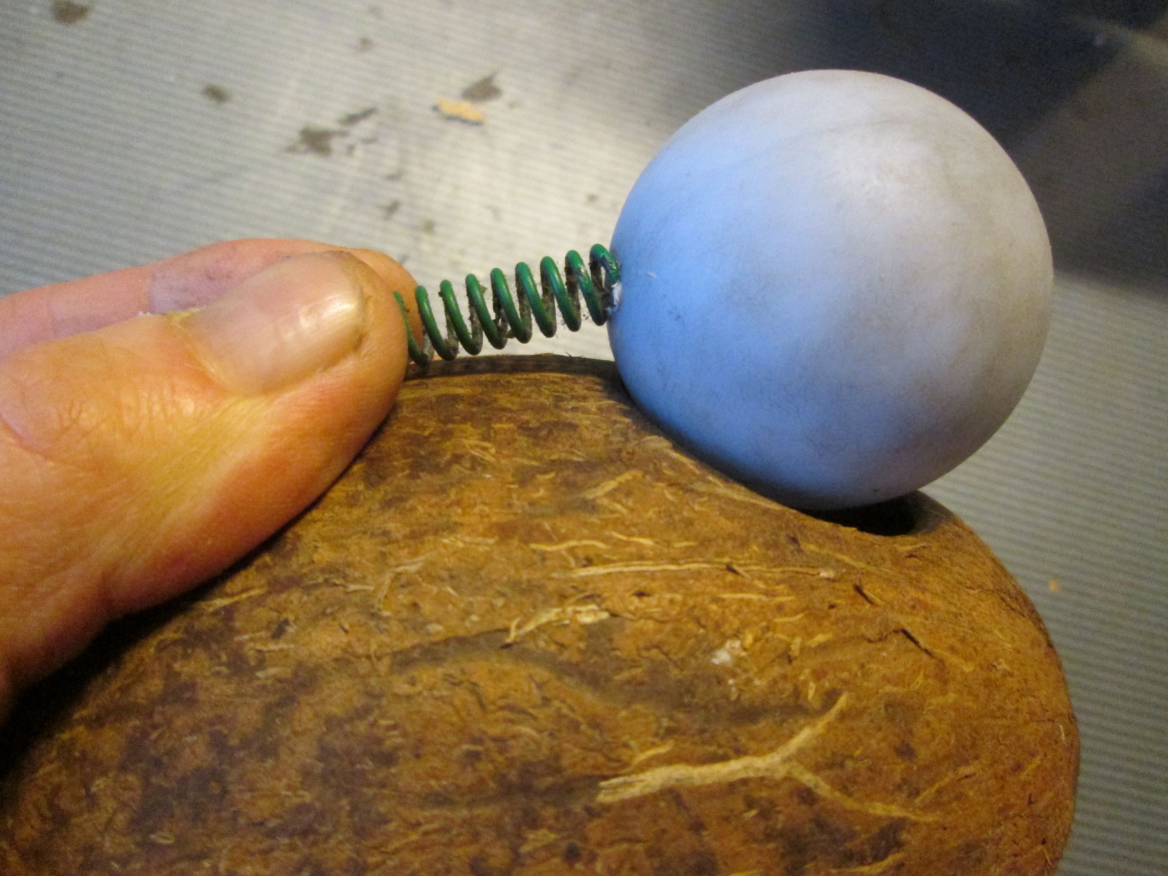 Coconut Mouse Trap 4 Steps (with Pictures) Instructables